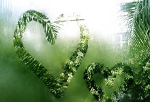 武汉桑拿好去处在哪？李强十年探寻经历给你答案