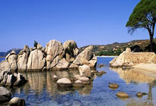 武汉拼搏族身心俱疲？小李的两个月桑拿探索之旅告诉你答案