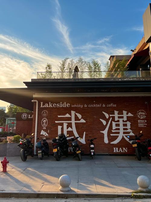 武汉夜网贴吧_武汉夜网flzj_武汉夜网哪里好